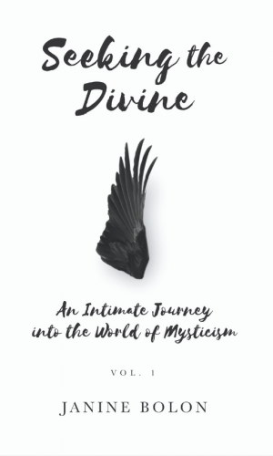 Seeking the Divine by Janine Bolon