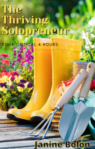 The Thriving Solopreneur Book by Janine Bolon